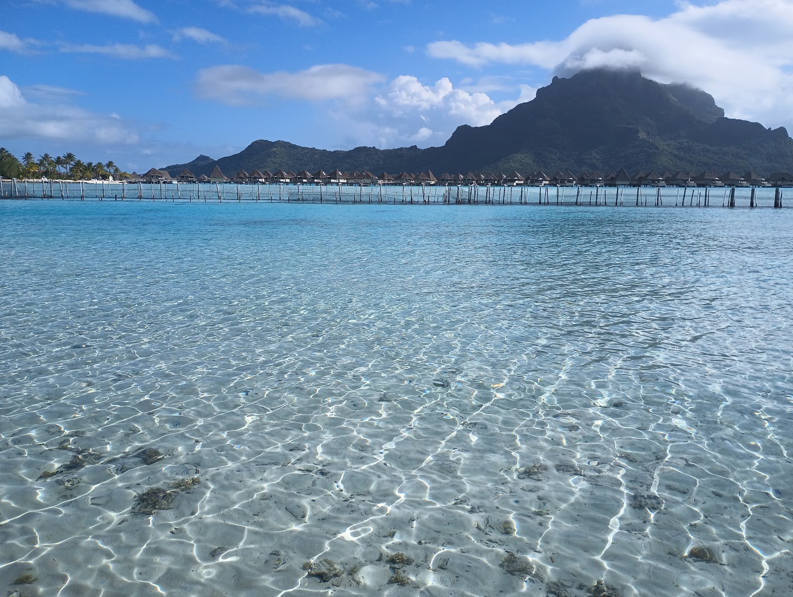 Bora Bora Lagoonarium