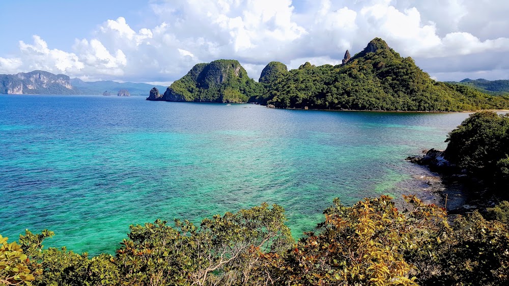 Snake Island photo 3