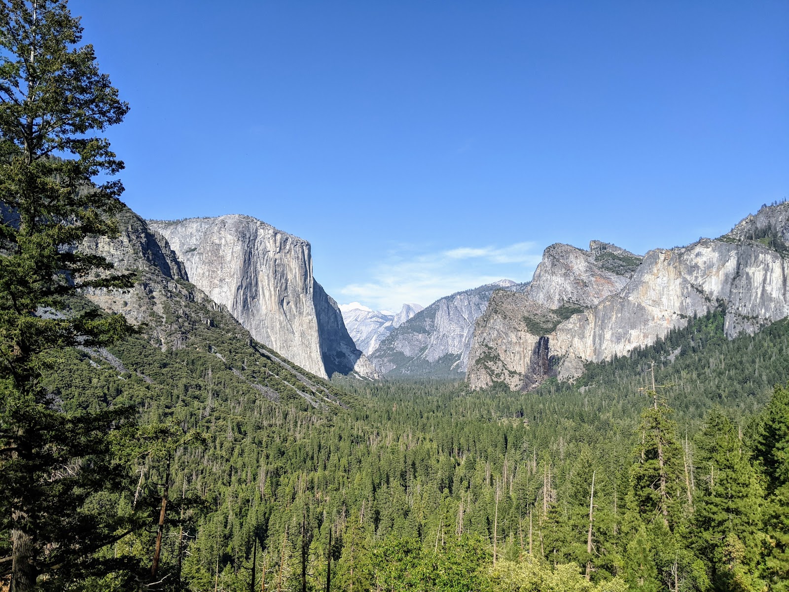 Yosemite Valley View