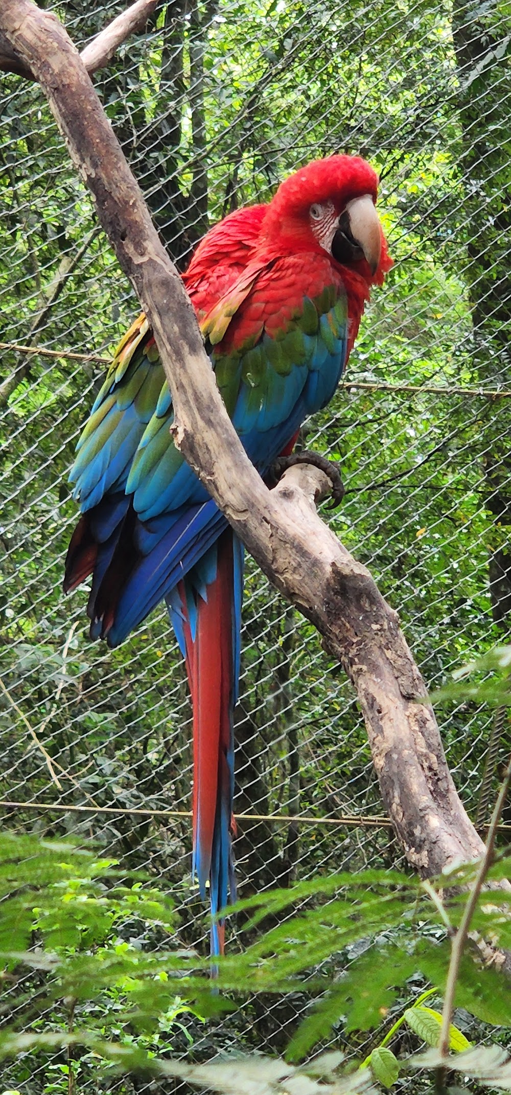 Guira Oga Wildlife Refuge photo 3