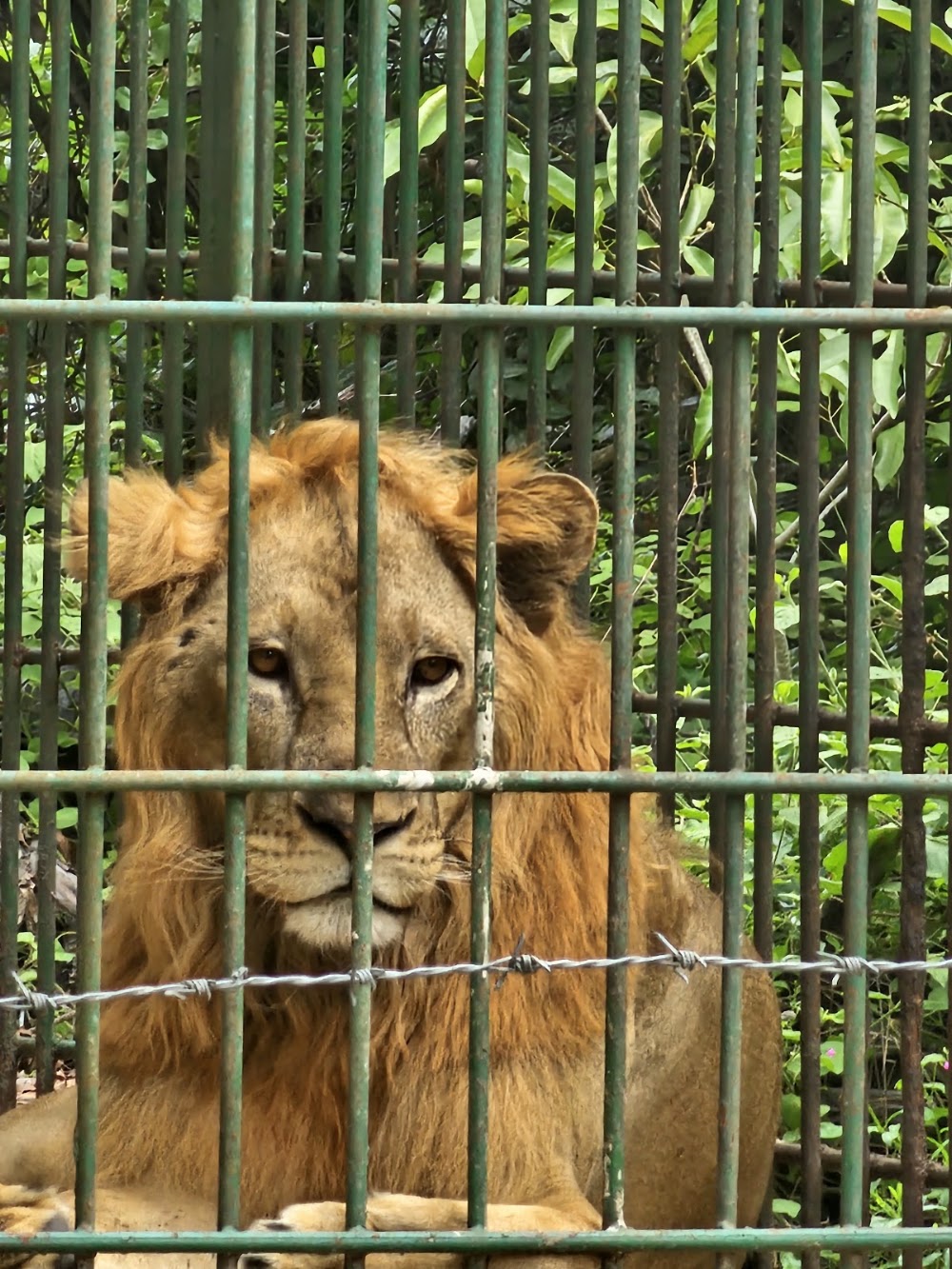 Dar es Salaam Zoo