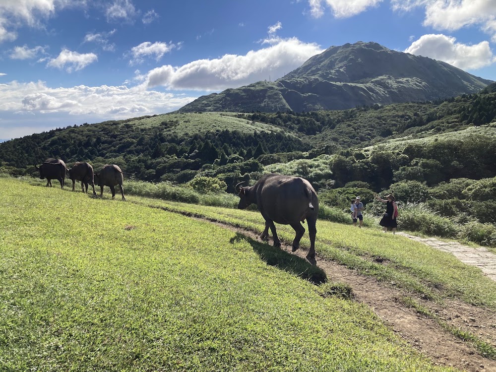 Yangmingshan National Park photo 3