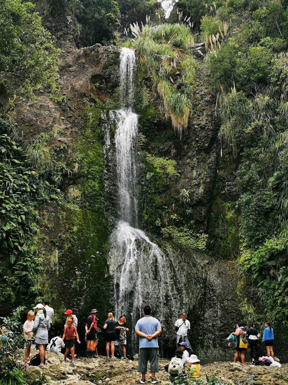 Piha Beach photo 2
