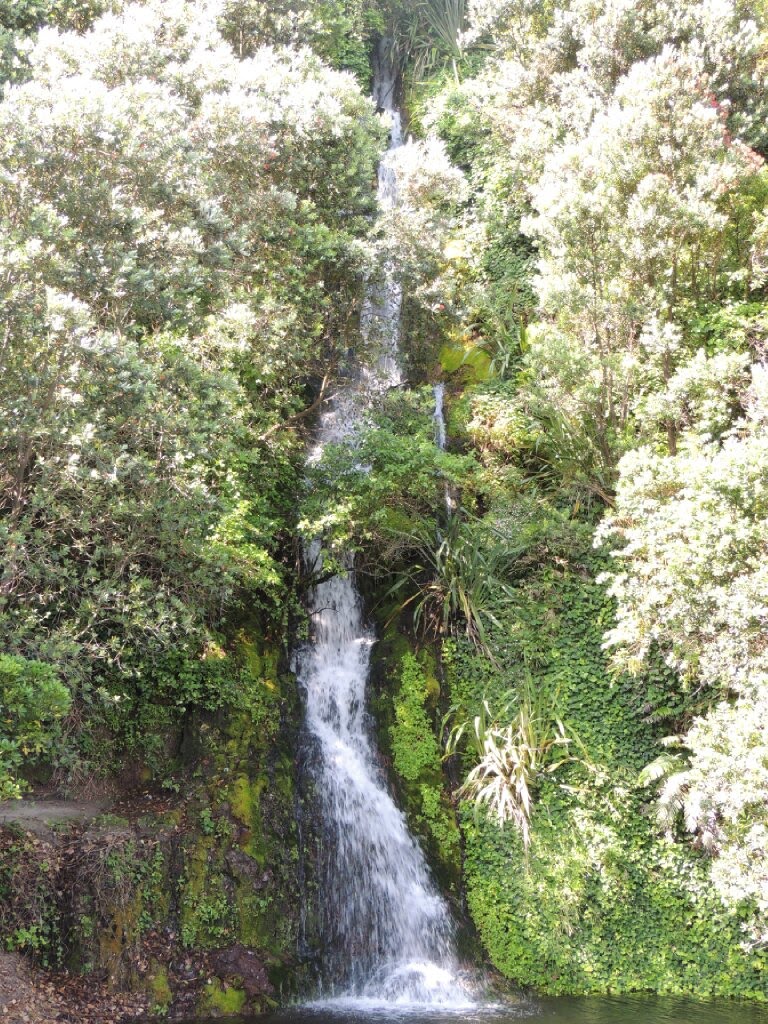Piha Beach photo 3