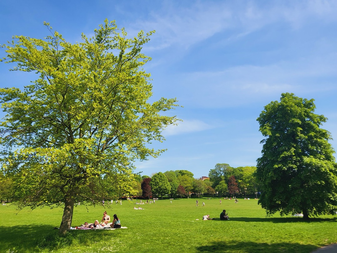 Preston Park photo 2