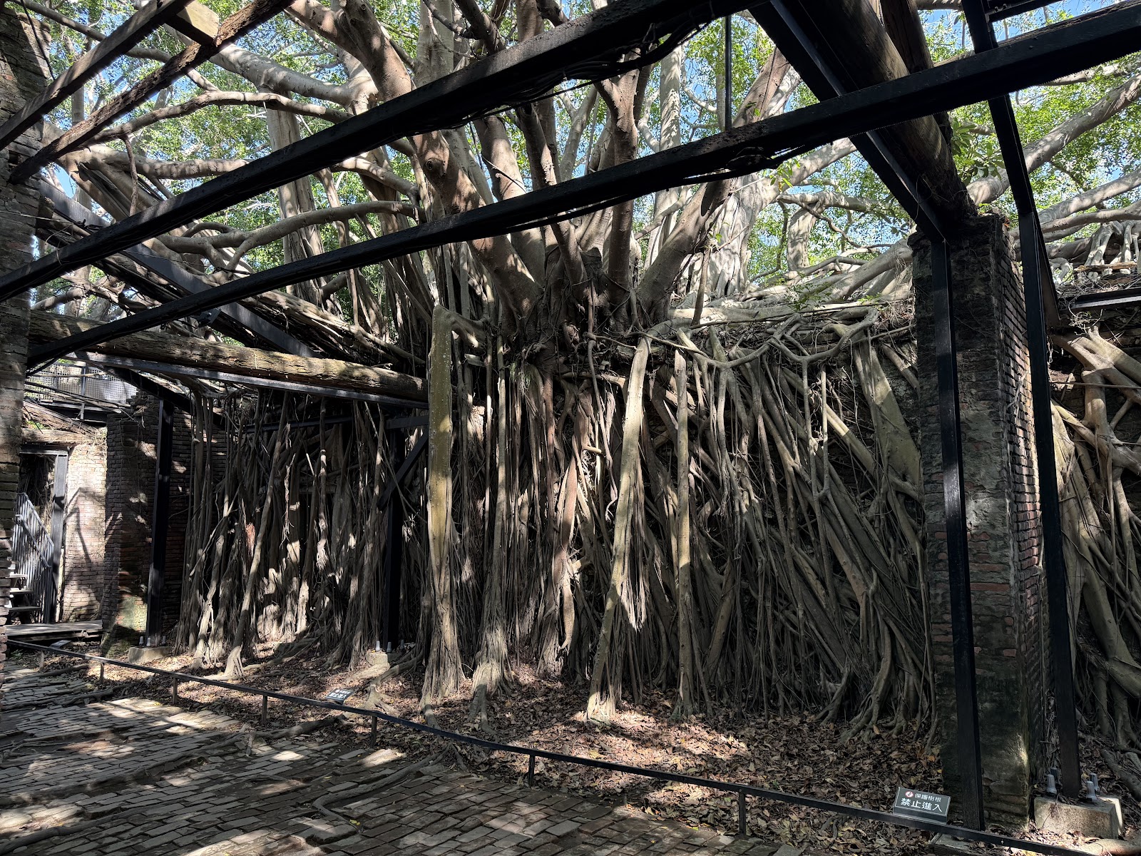 Anping Tree House