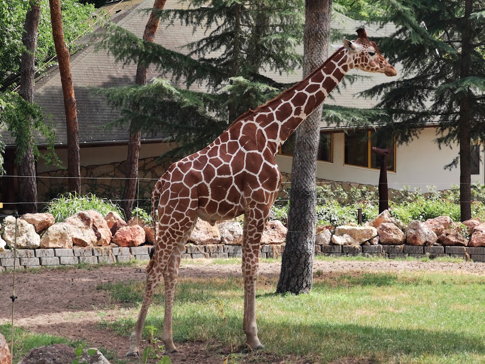 Debrecen Zoo and Amusement Park photo 2