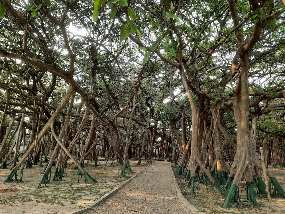Acharya Jagadish Chandra Bose Indian Botanic Garden