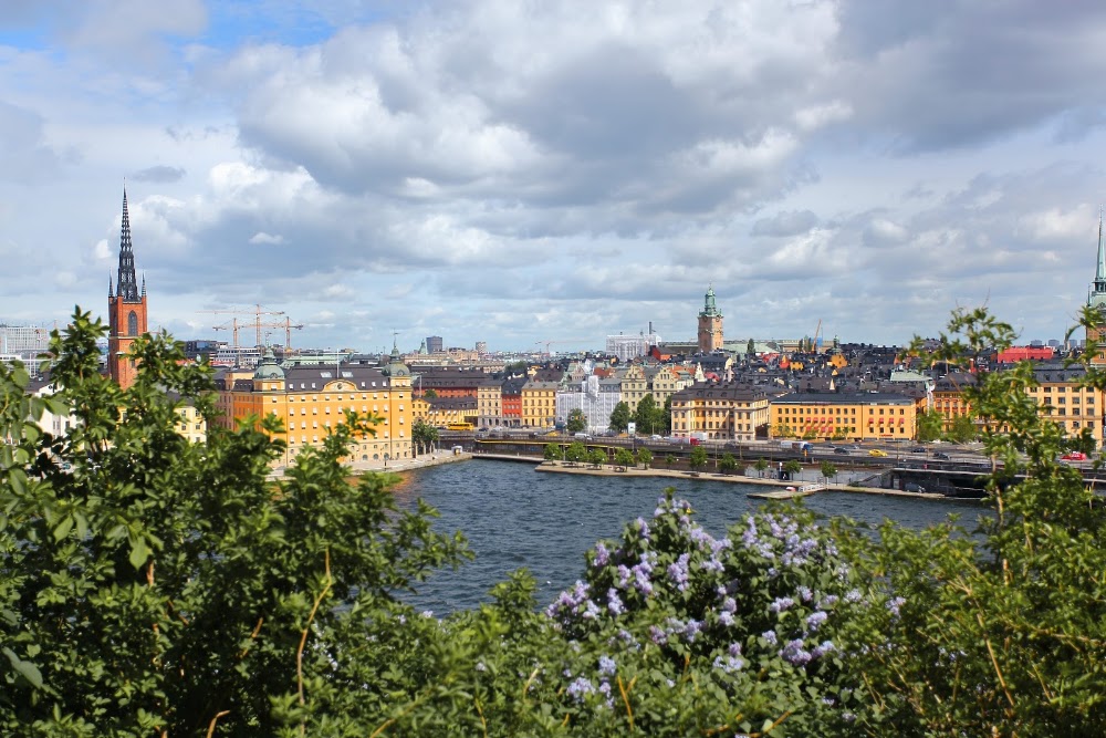 Monteliusvägen Viewpoint