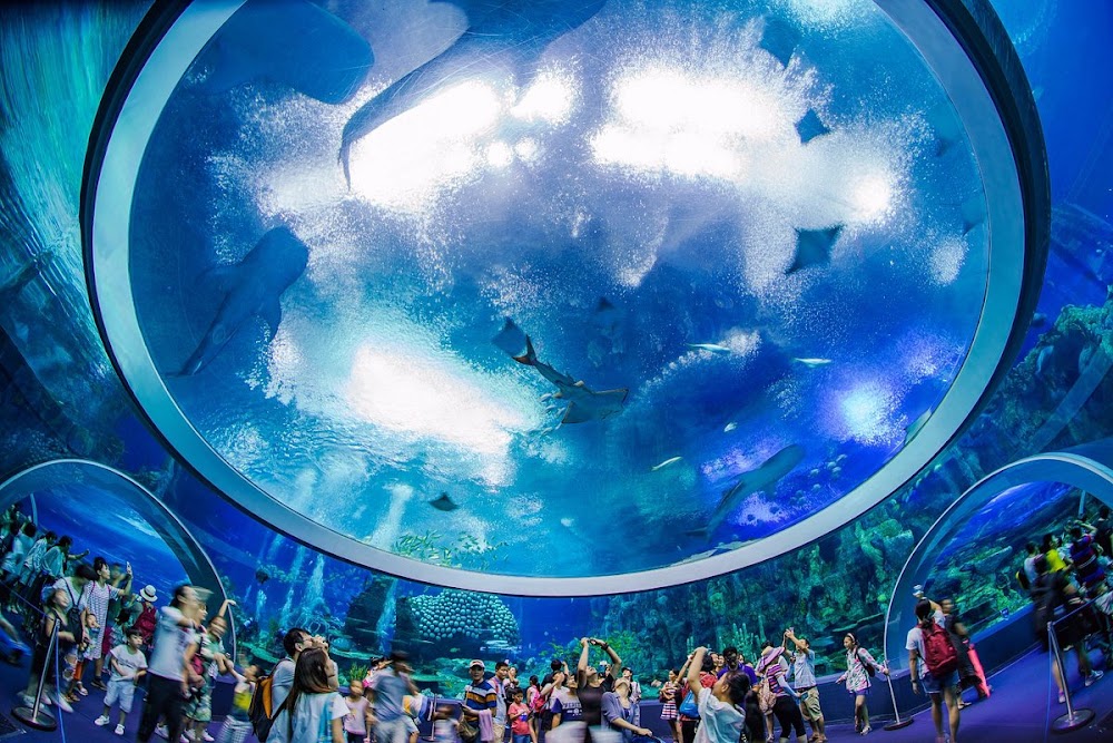 Chimelong Ocean Kingdom