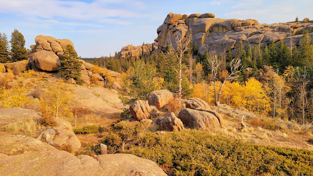 Medicine Bow National Forest