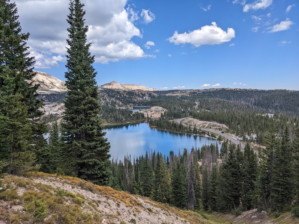 Medicine Bow National Forest photo 2