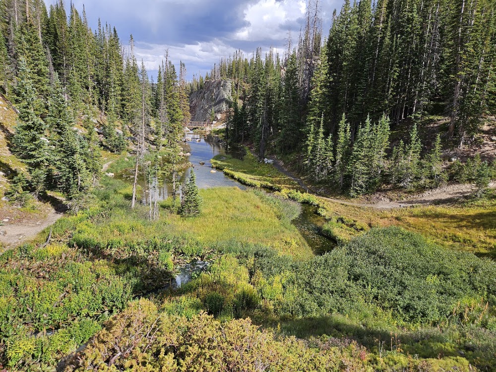 Medicine Bow National Forest photo 3