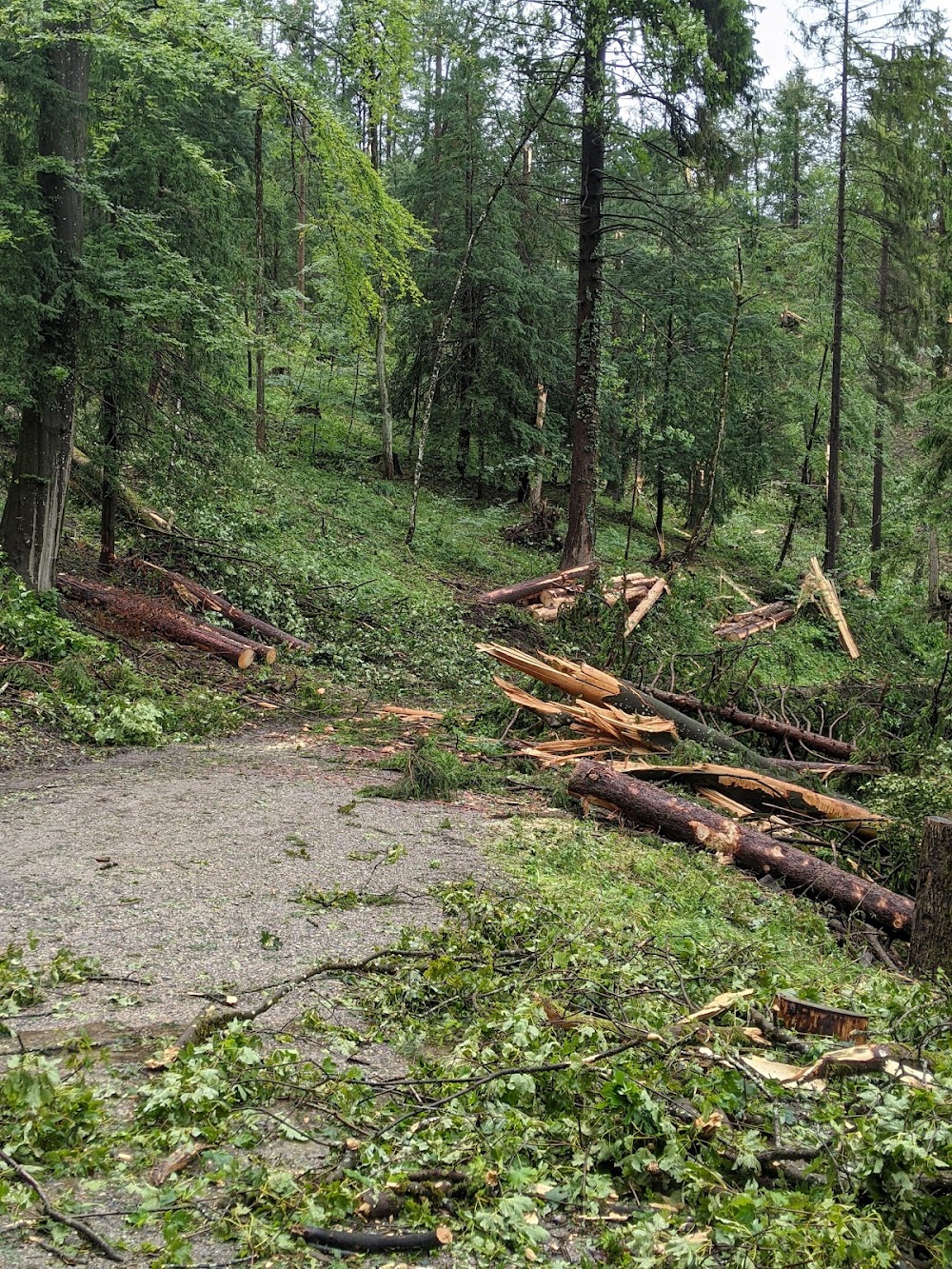 Uetliberg Mountain photo 2