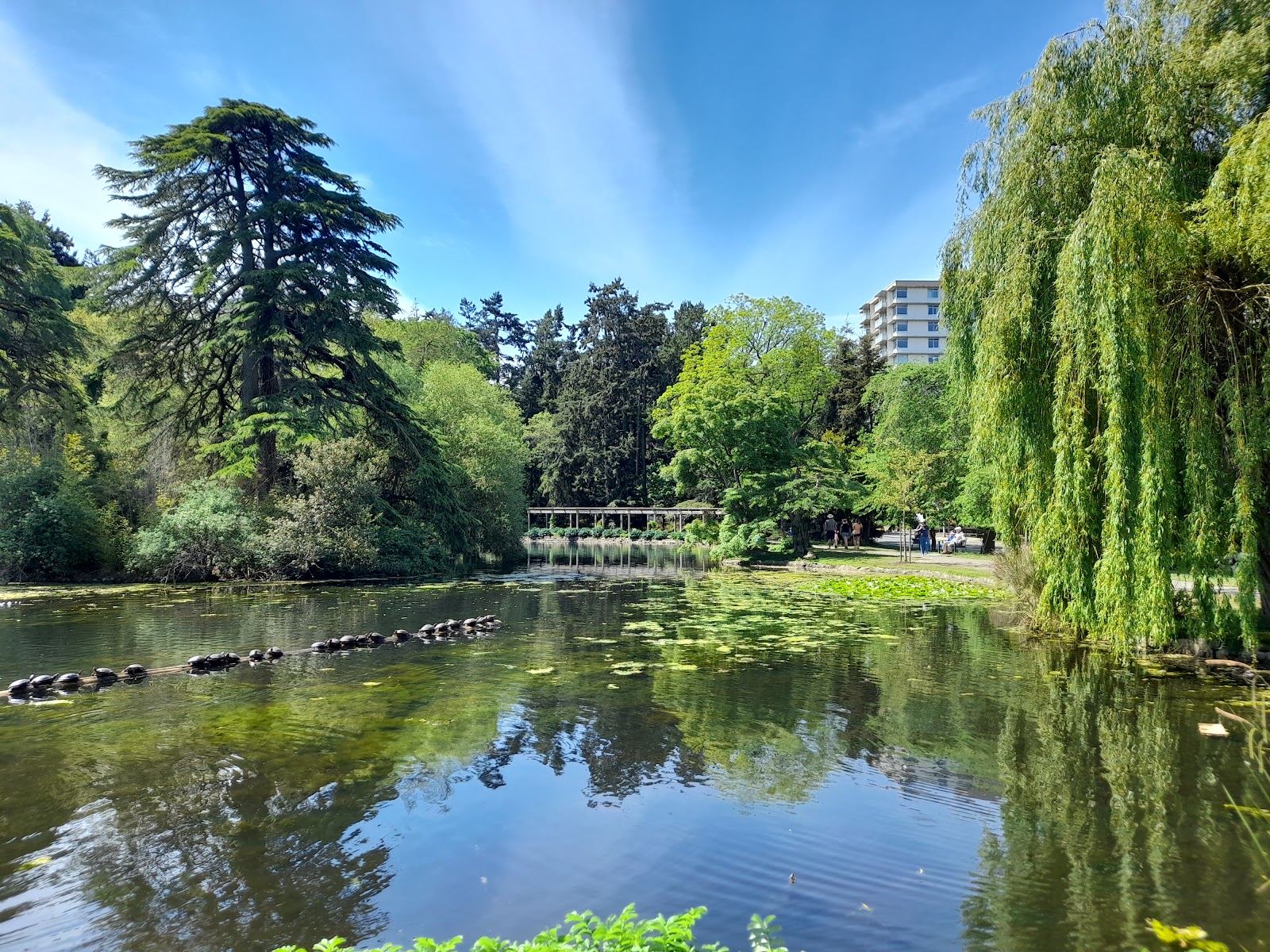 Beacon Hill Park