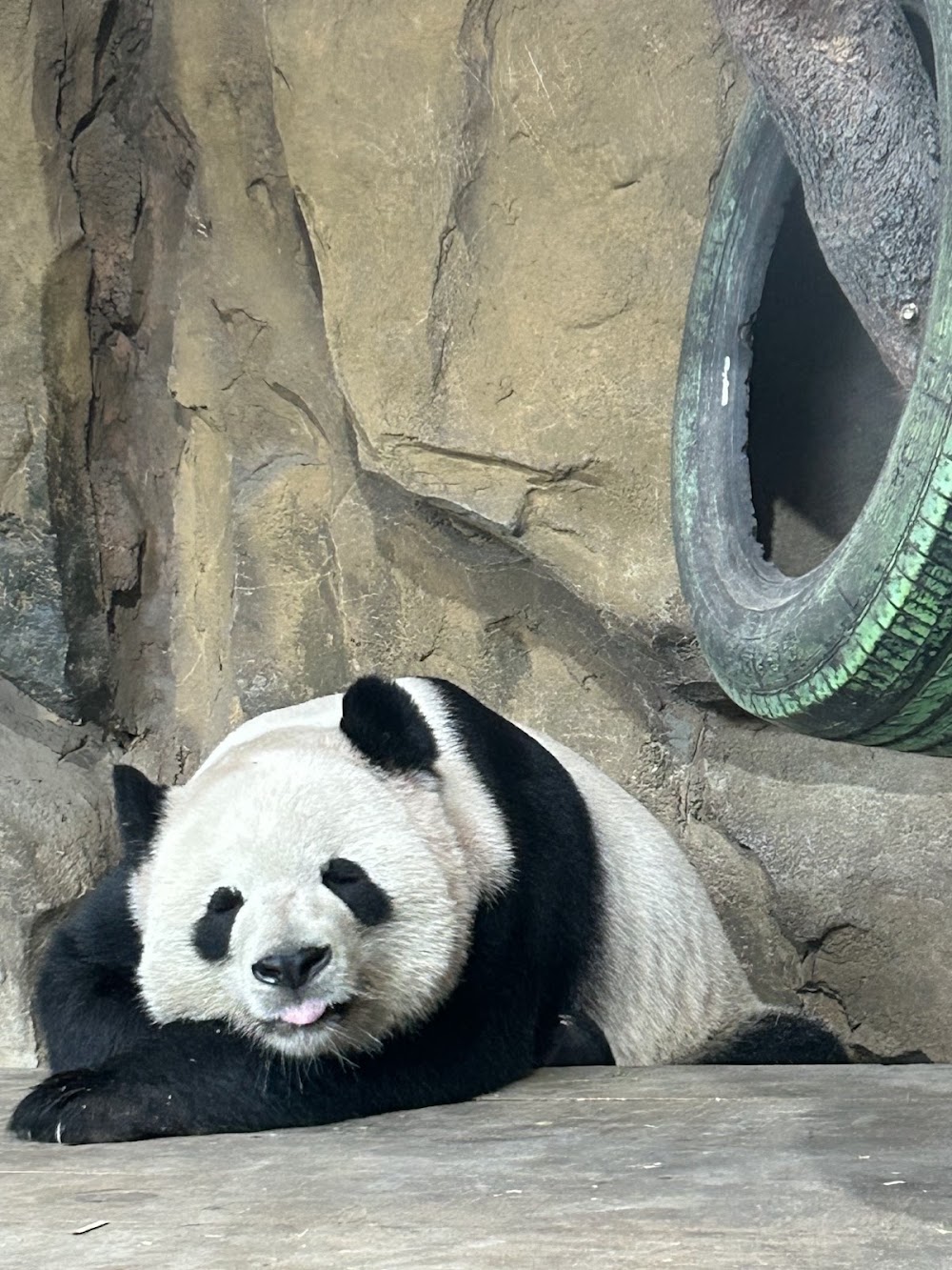 Chengdu Zoo