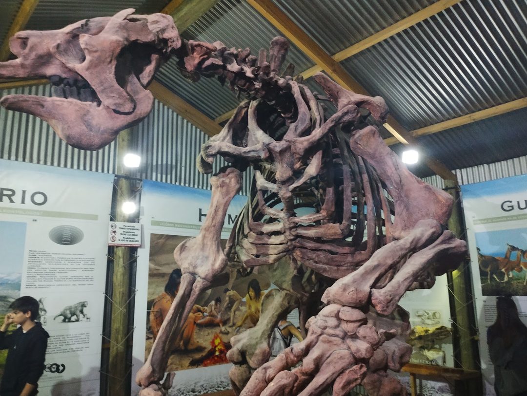 El Calafate Historical Interpretation Center photo 3