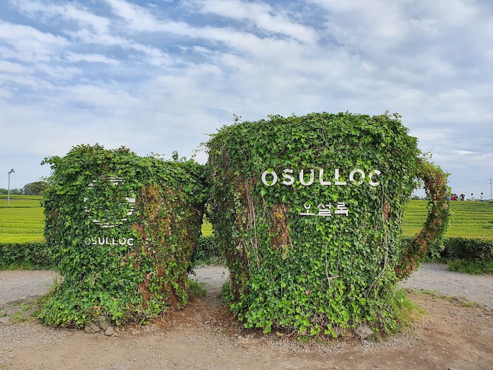 O'Sulloc Tea Museum