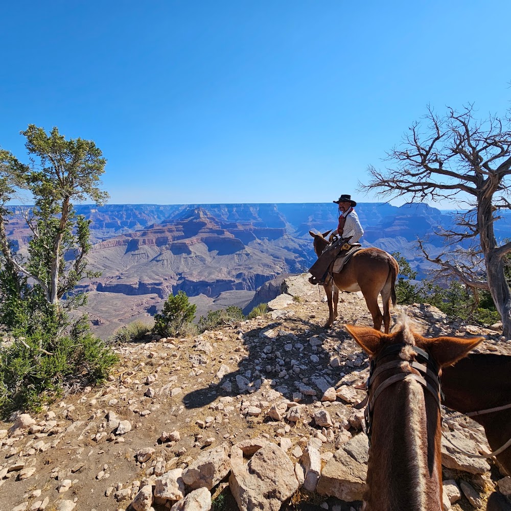 Canyon Vistas Mule Ride photo 2