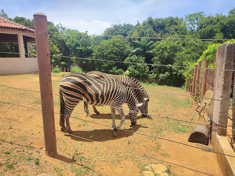 Parque Zoobotânico Getúlio Vargas