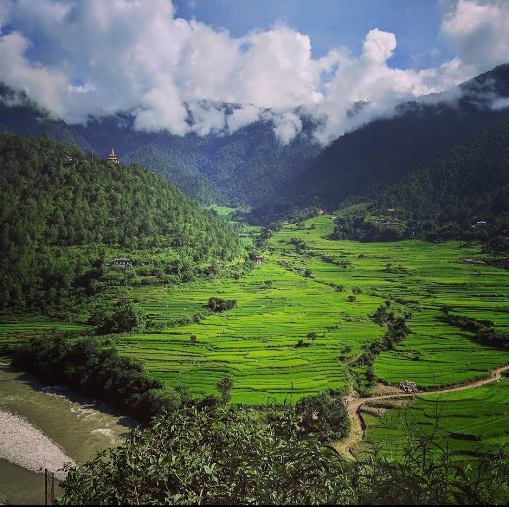 Jigme Dorji National Park