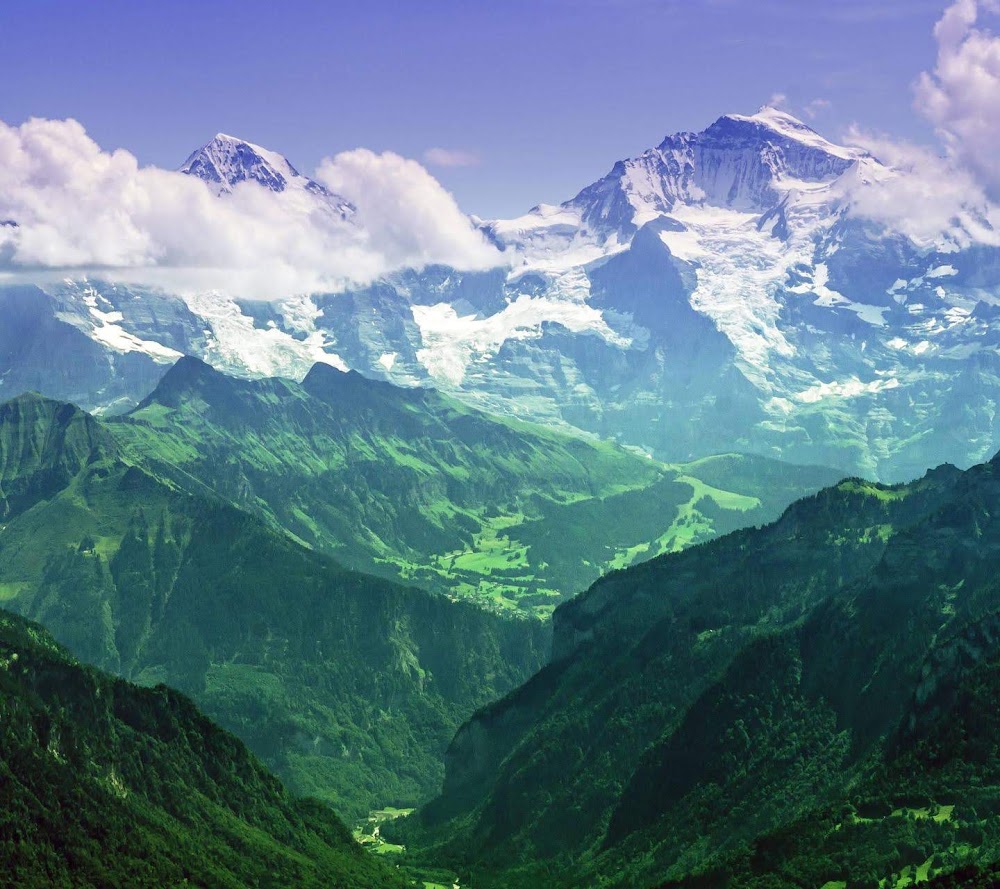 Jigme Dorji National Park photo 2