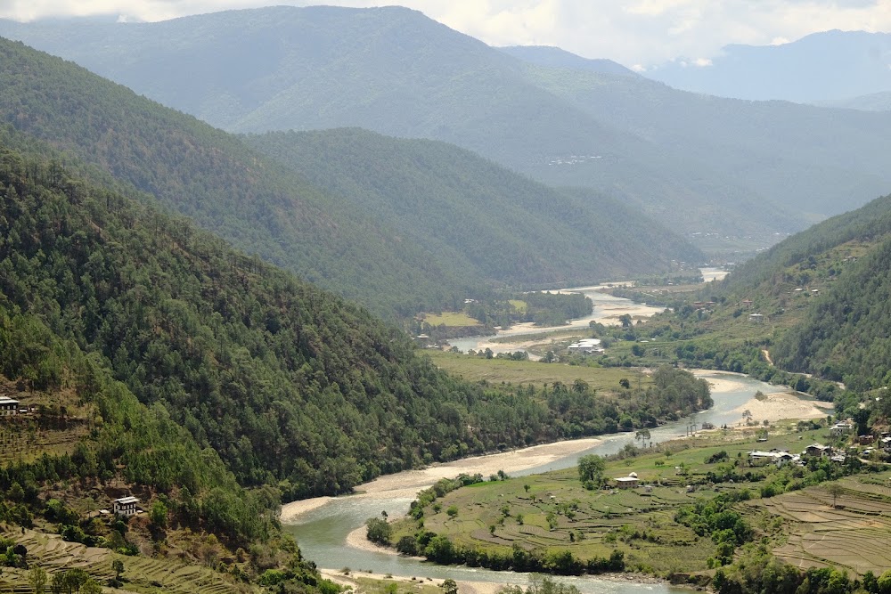 Jigme Dorji National Park photo 3