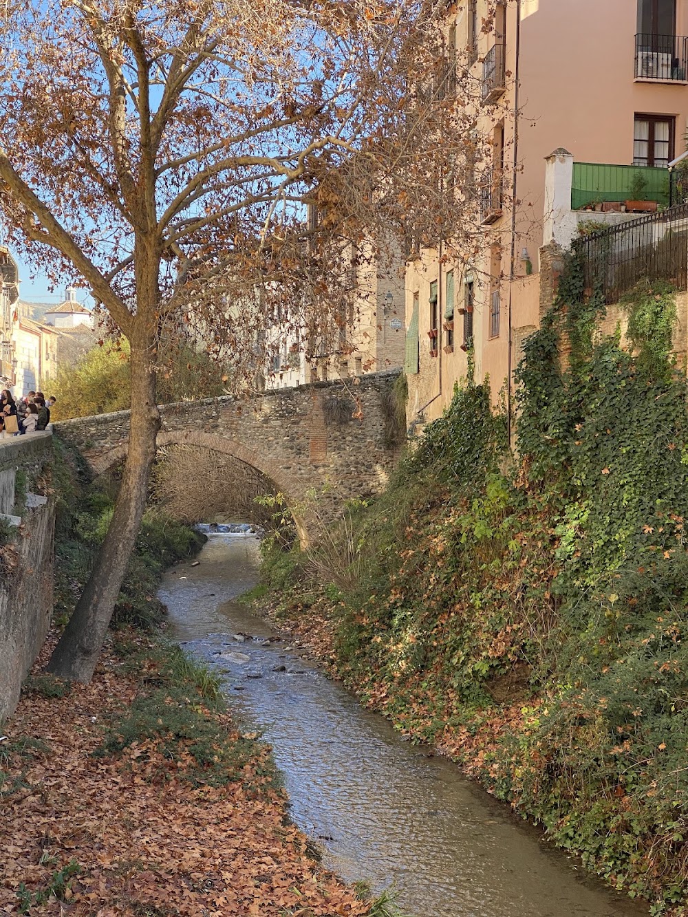 Paseo de los Tristes photo 2