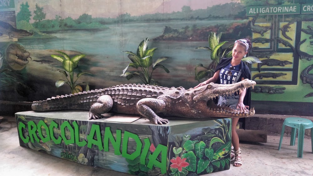 Crocodile Farm photo 2