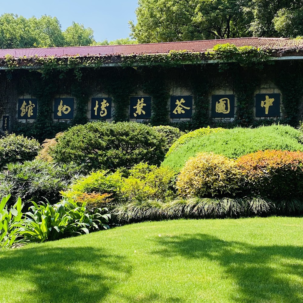 China National Tea Museum photo 2
