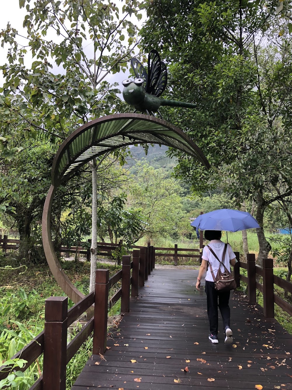 Mataian Wetlands Ecological Park photo 3
