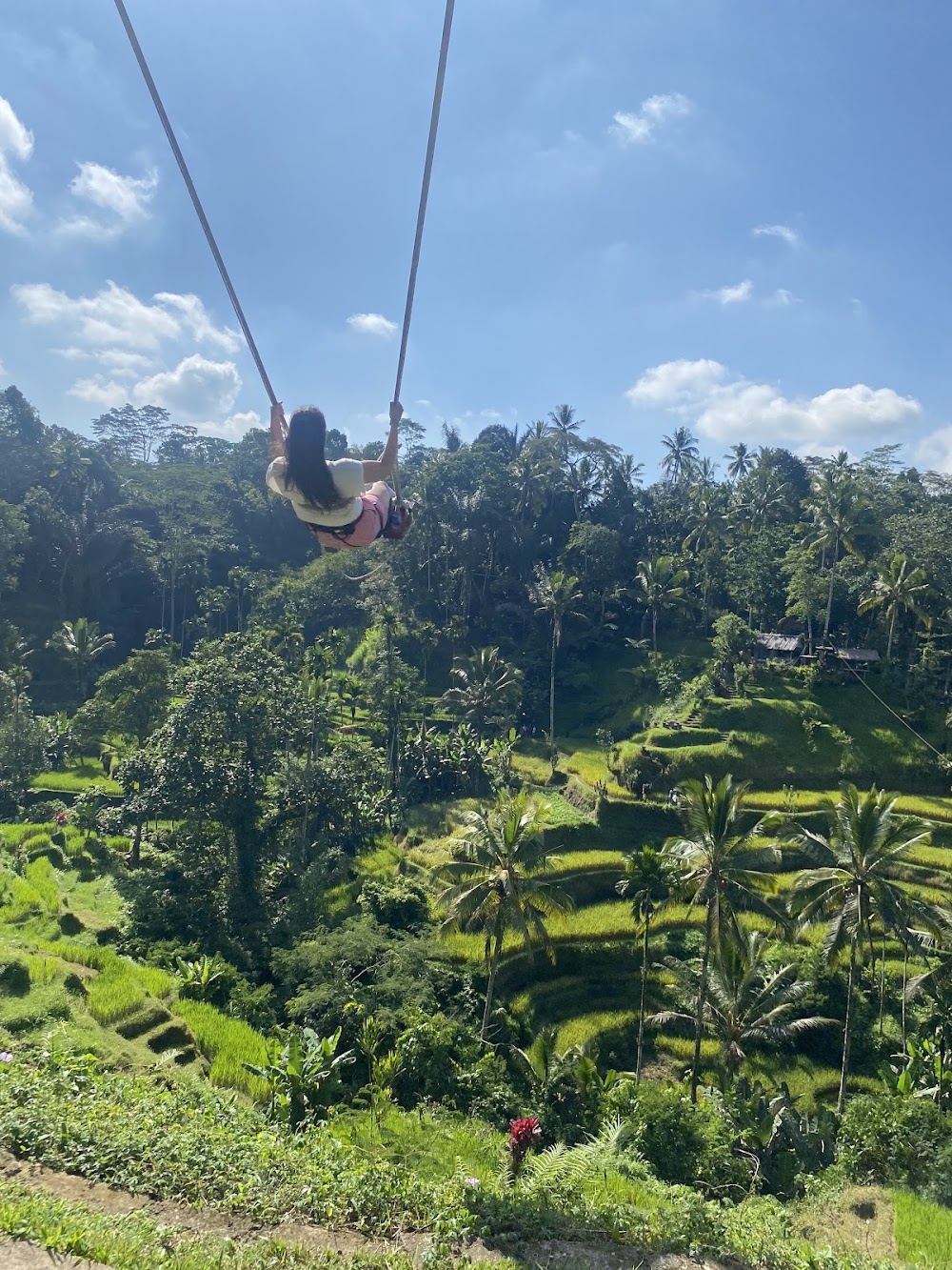 Tegallalang Rice Terraces photo 3