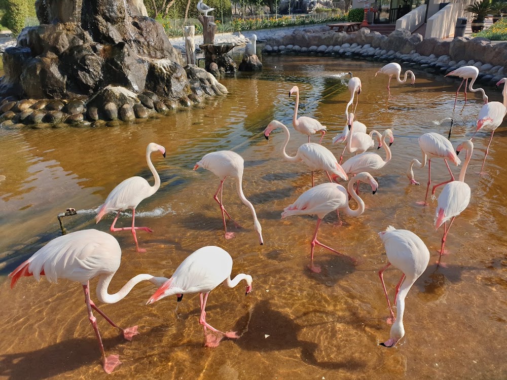Al Areen Wildlife Park