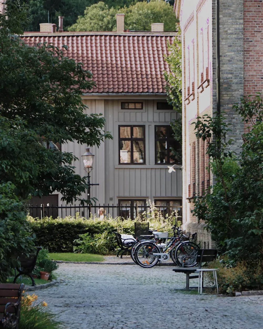 Haga district photo 2