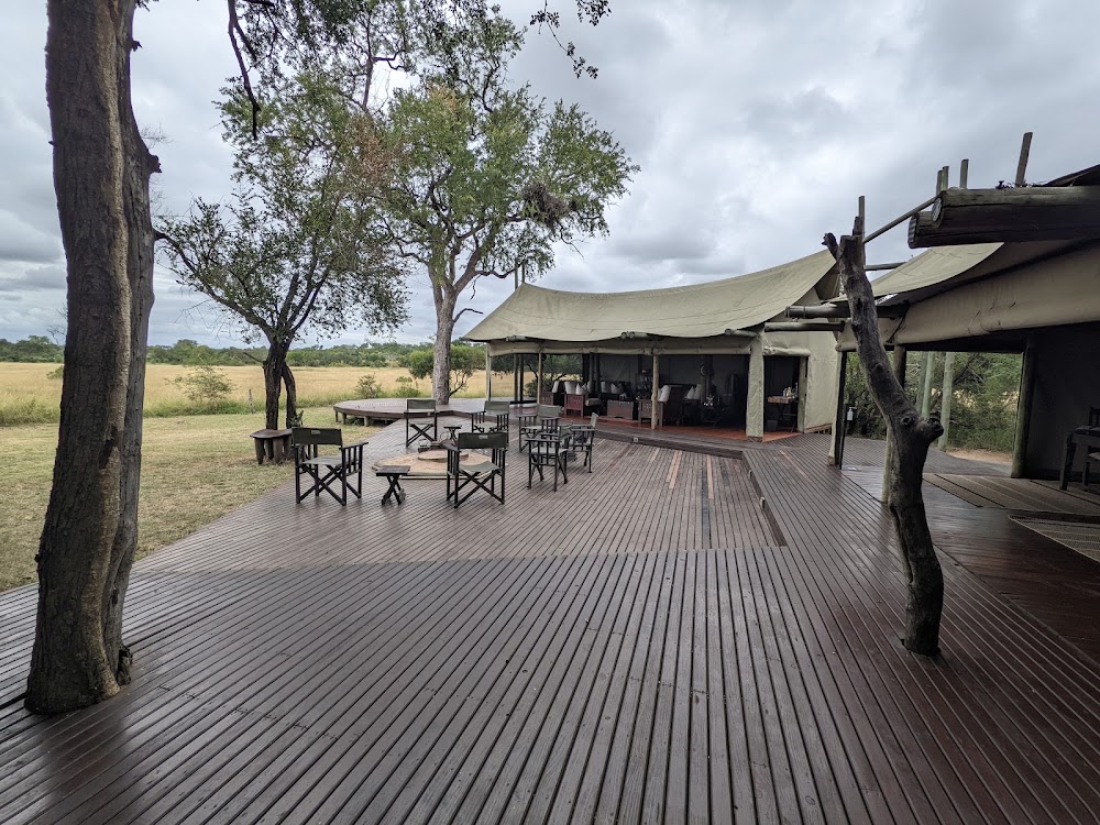 Rhino Walking Safaris