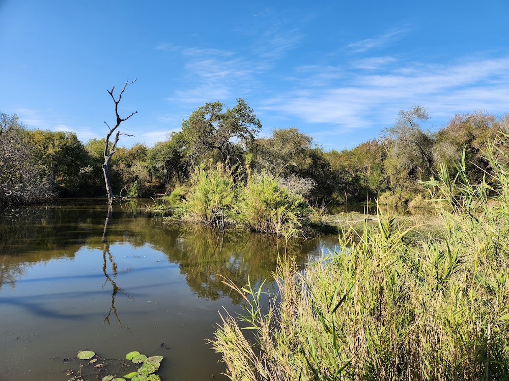 Lake Panic Bird Hide