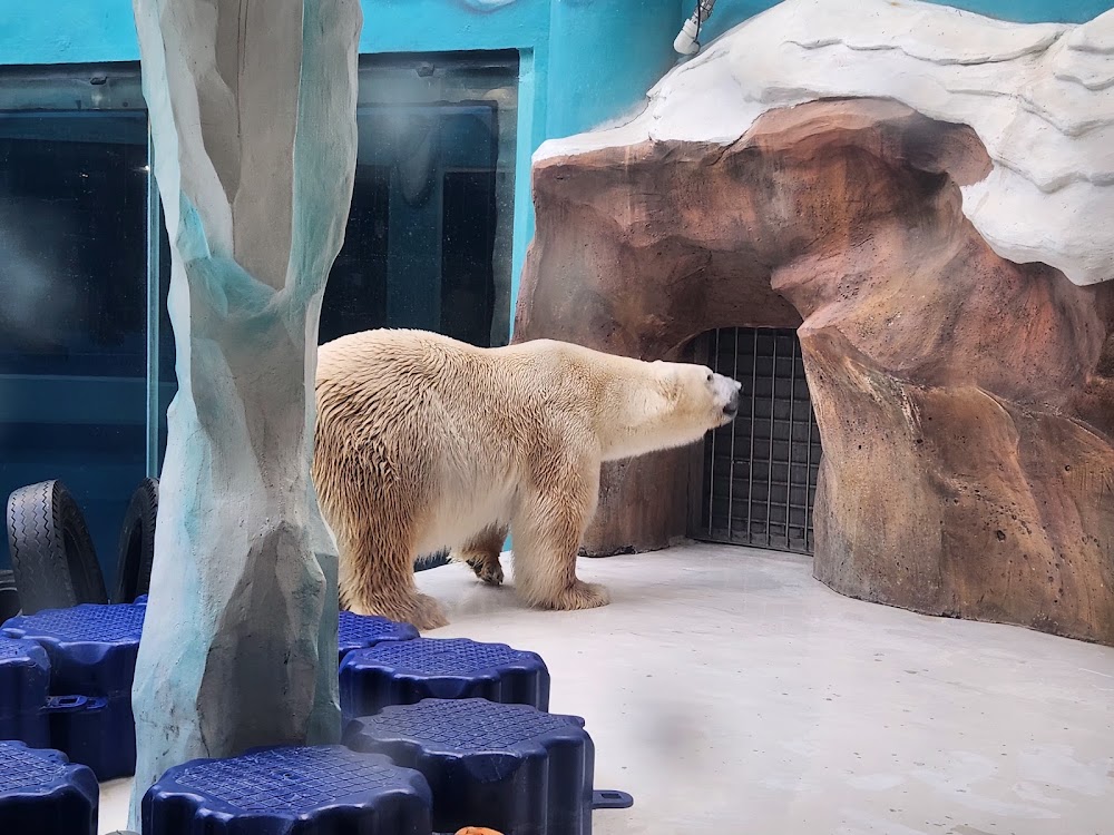 Harbin Polarland photo 2