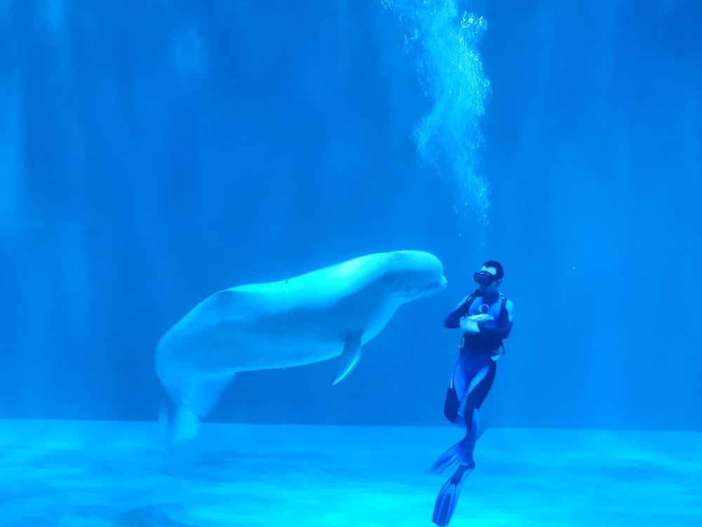 Harbin Polarland photo 3