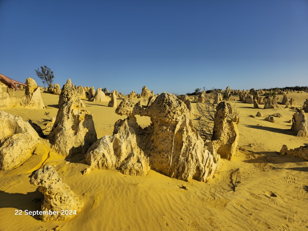 The Pinnacles Desert