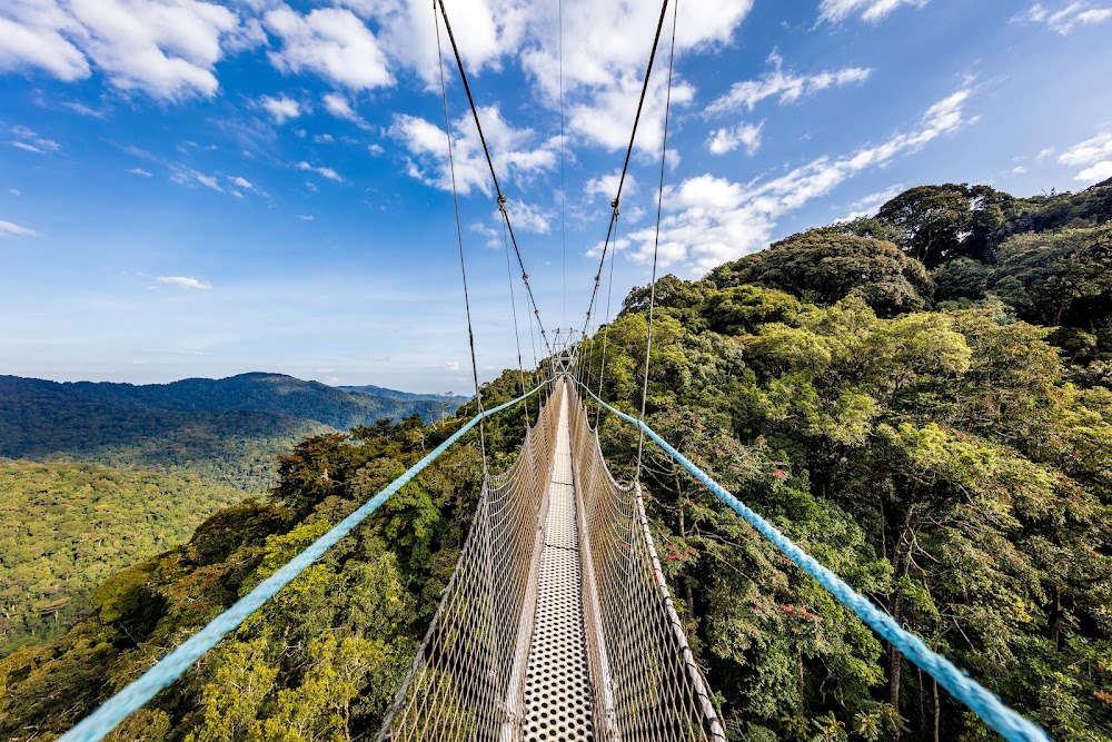 Nyungwe Forest National Park