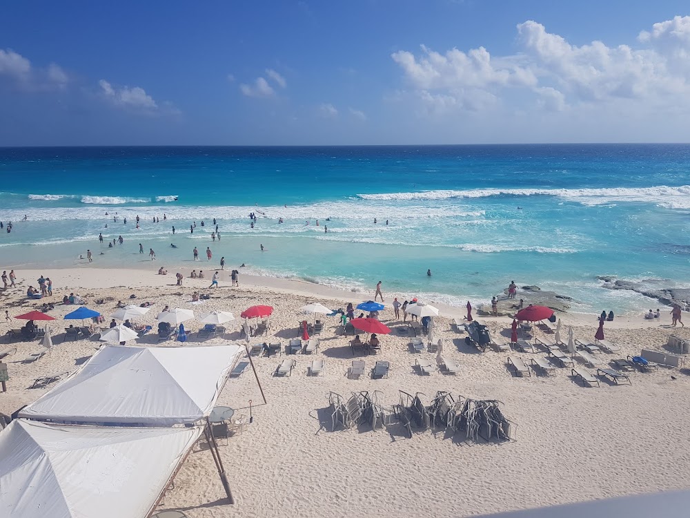 Playa Forum photo 2