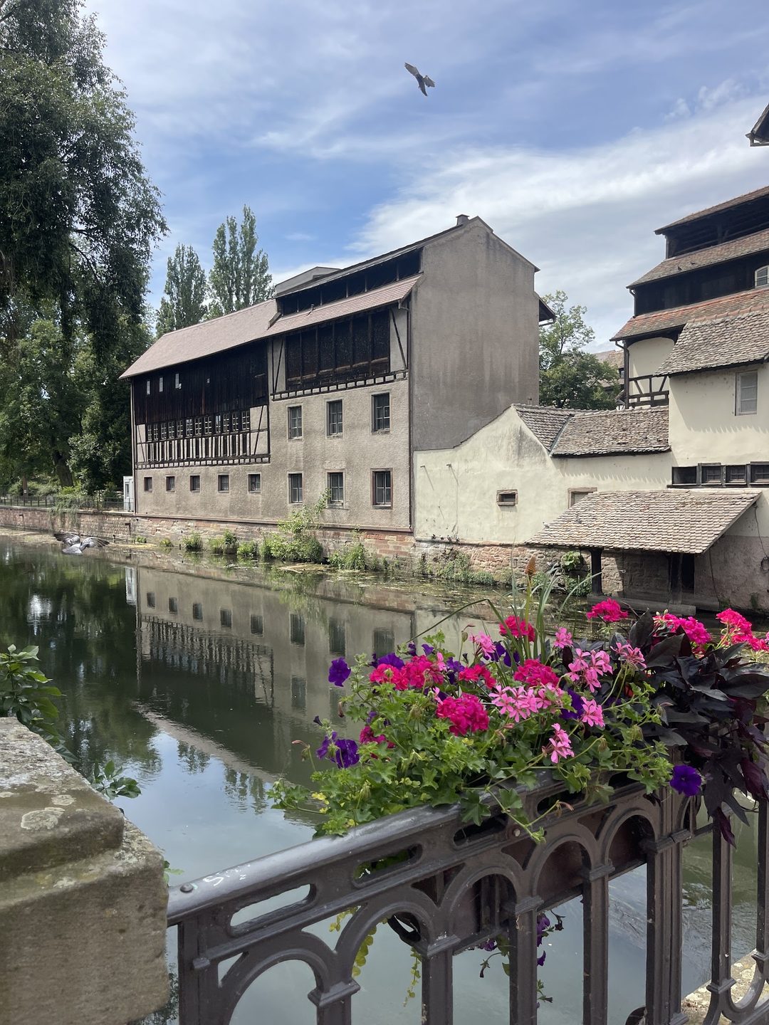 Petite France district photo 2