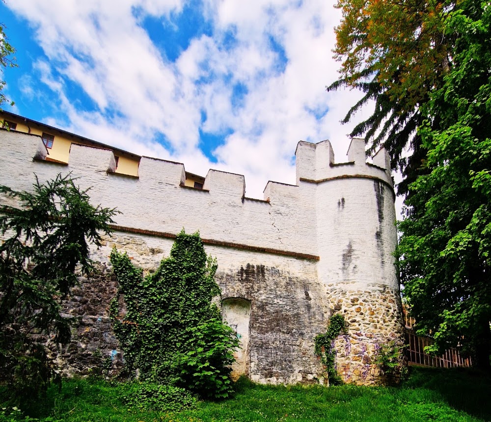 Ribnjak Park photo 3