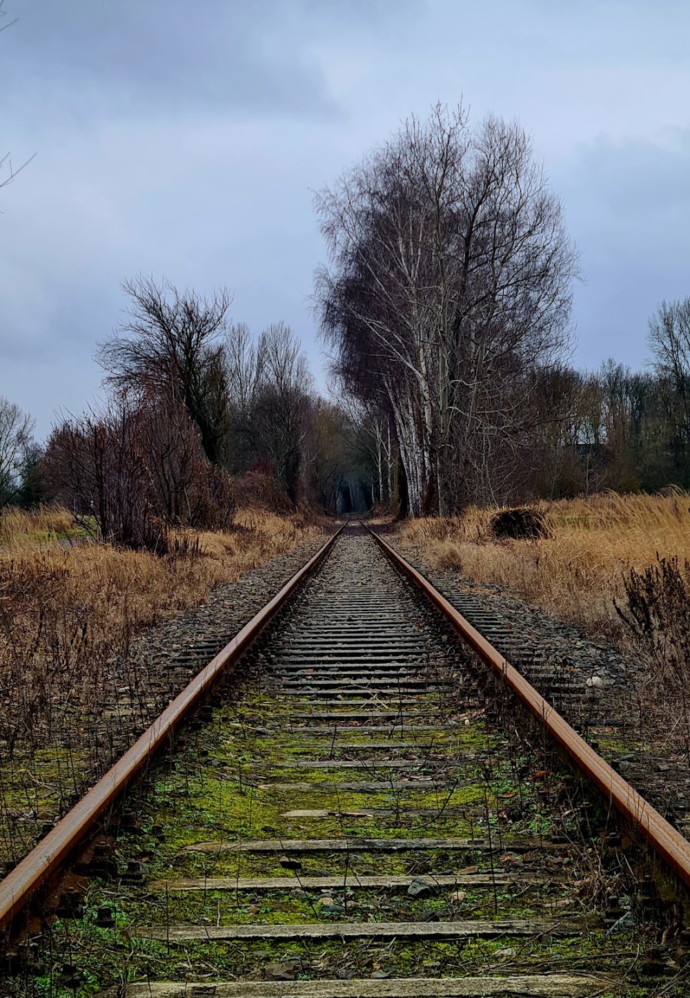 Berlin Wall Trail