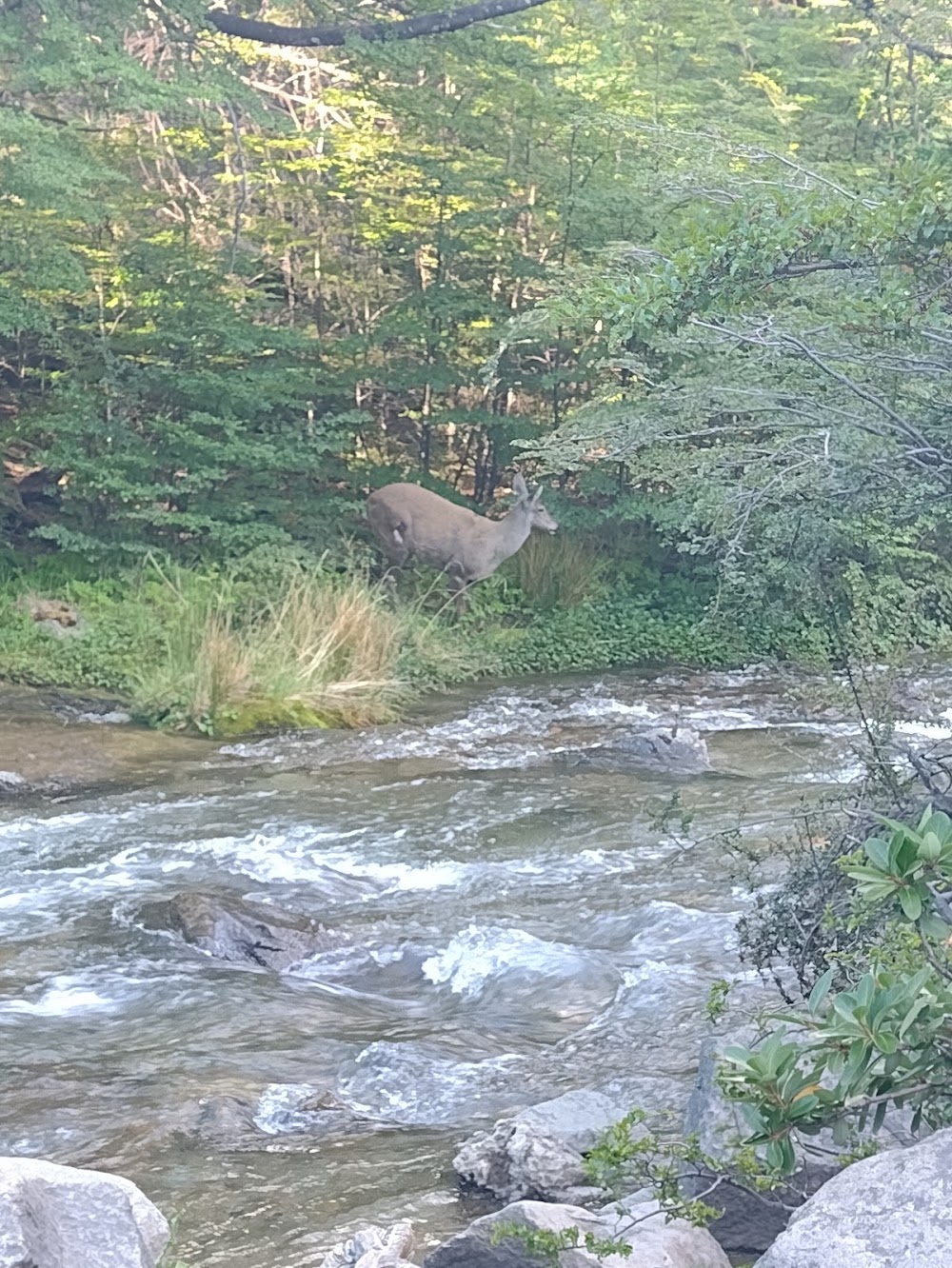 Chorrillo del Salto photo 3