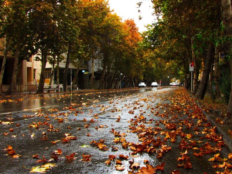 Valiasr Street