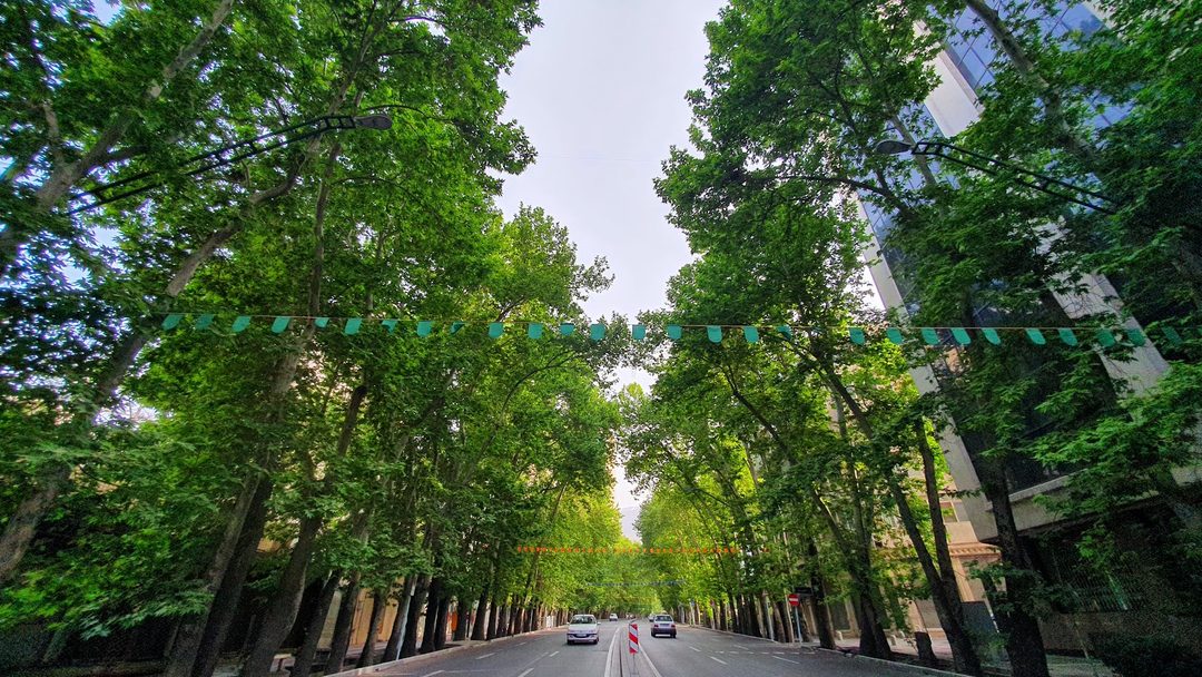 Valiasr Street photo 2