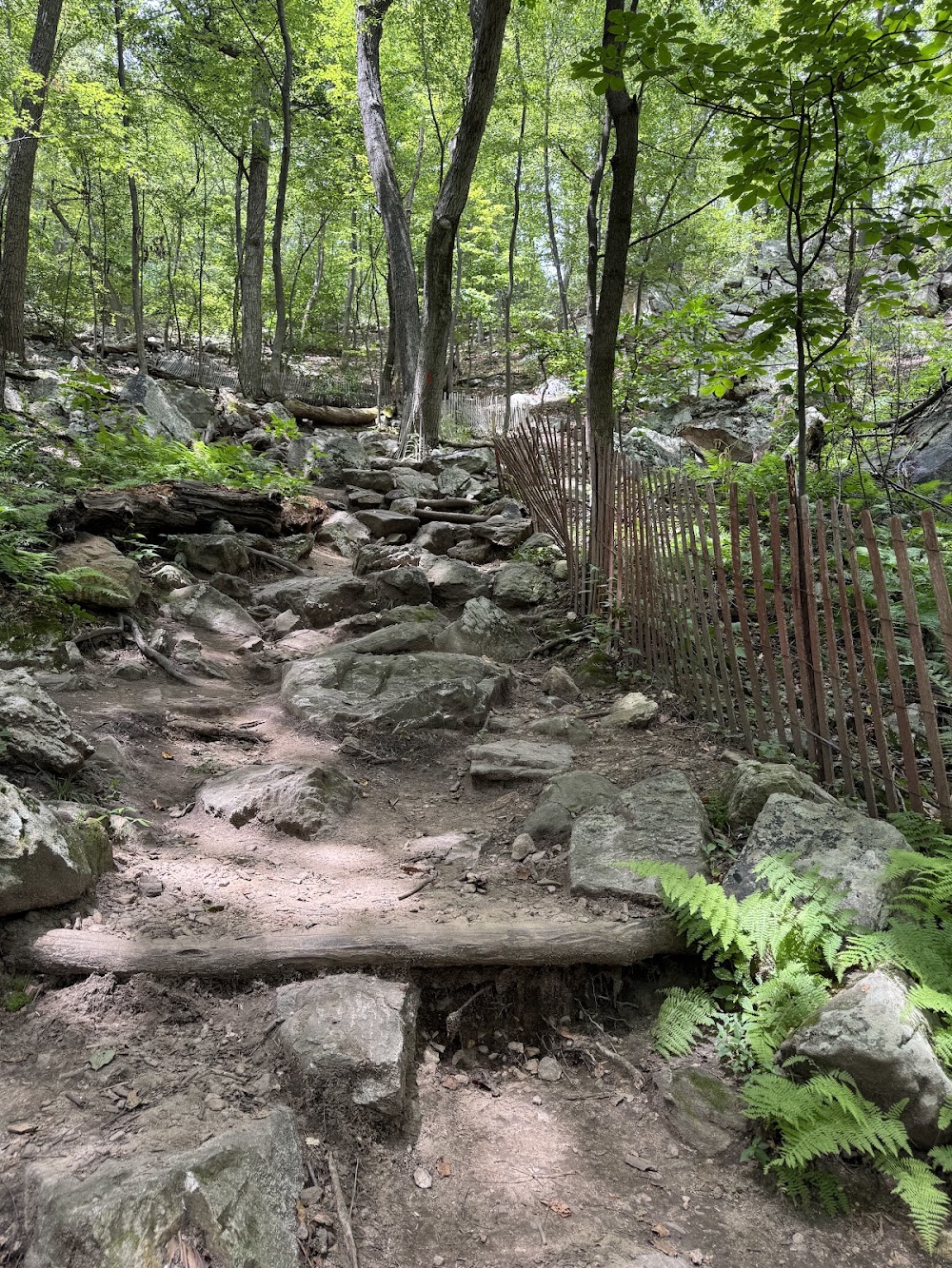 Sugarloaf Mountain photo 3