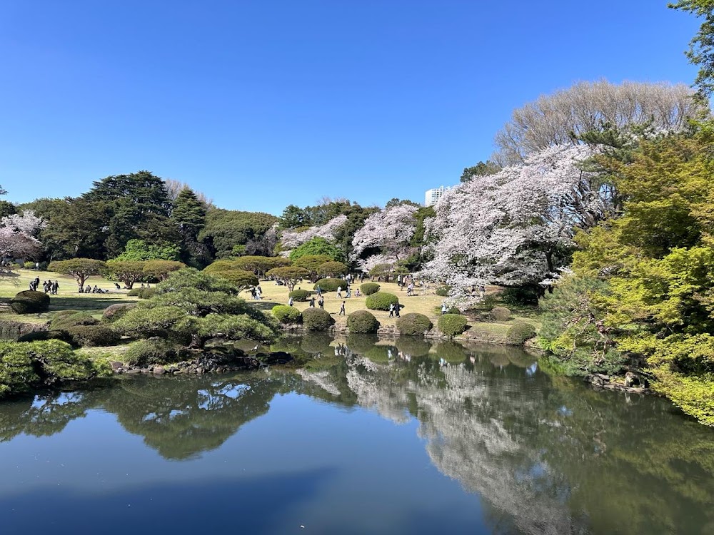 Shinjuku Gyoen photo 2