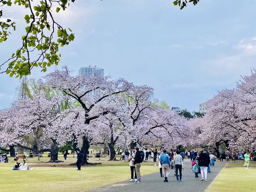 Shinjuku Gyoen photo 3